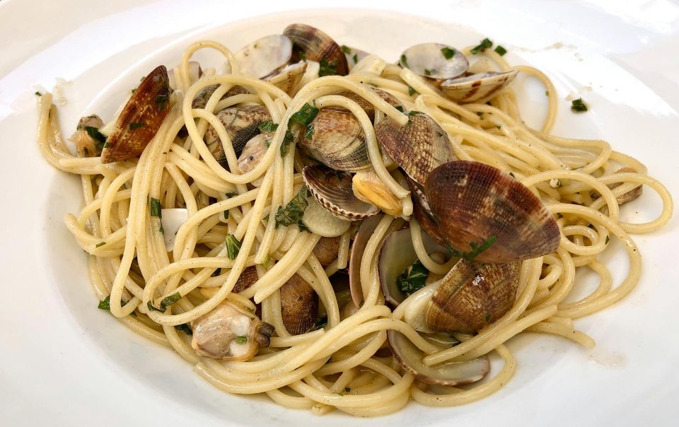 close up of pasta dish made with clams